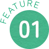 FEATURE 01
