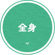 全身