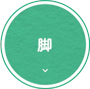脚