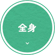 全身