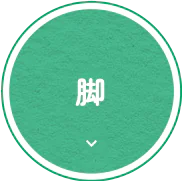 脚