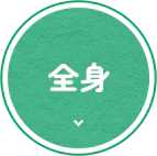 全身