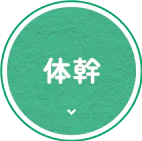 体幹