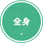 全身