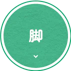 脚